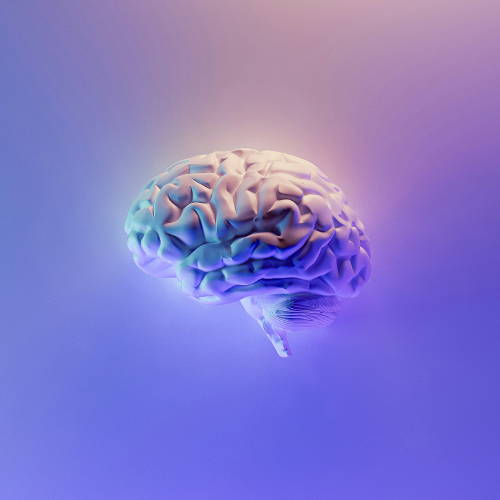 concept of brain - vague