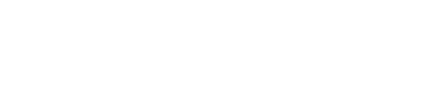 Bold Wave AI